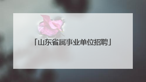 山东省属事业单位招聘