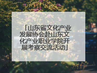 山东省文化产业发展协会赴山东文化产业职业学院开展考察交流活动