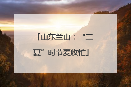 山东兰山：“三夏”时节麦收忙