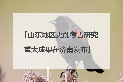山东地区史前考古研究重大成果在济南发布