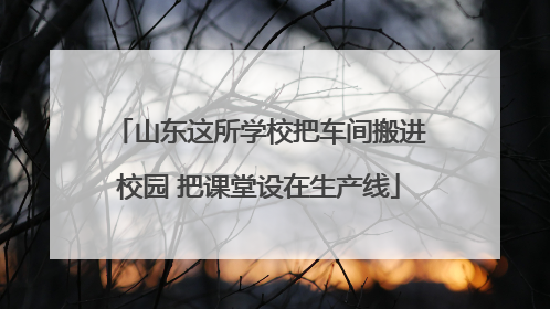 山东这所学校把车间搬进校园 把课堂设在生产线