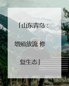 山东青岛：增殖放流 修复生态