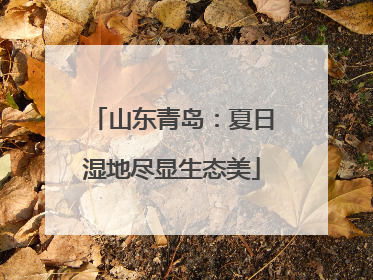 山东青岛：夏日湿地尽显生态美