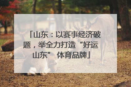 山东：以赛事经济破题，举全力打造“好运山东” 体育品牌