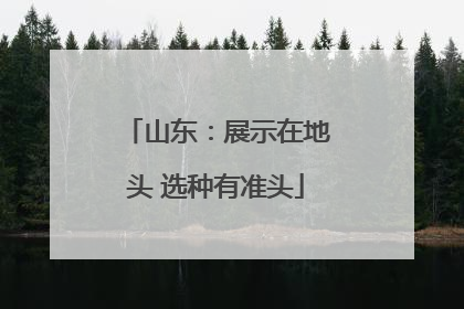 山东：展示在地头 选种有准头
