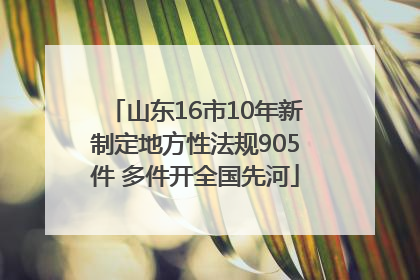山东16市10年新制定地方性法规905件 多件开全国先河