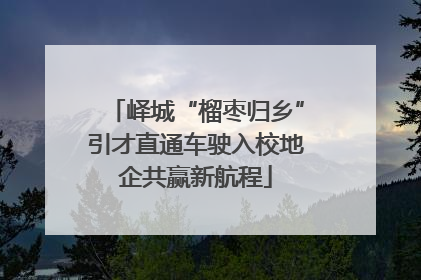 峄城“榴枣归乡”引才直通车驶入校地企共赢新航程
