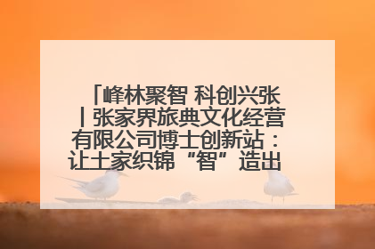 峰林聚智 科创兴张丨张家界旅典文化经营有限公司博士创新站：让土家织锦“智”造出非遗新传奇
