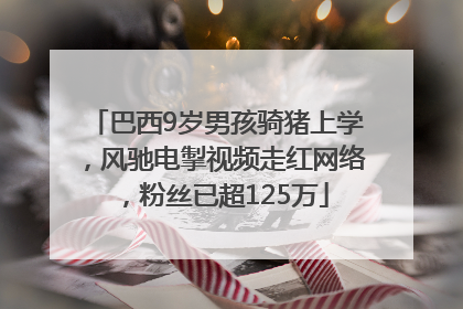 巴西9岁男孩骑猪上学，风驰电掣视频走红网络，粉丝已超125万