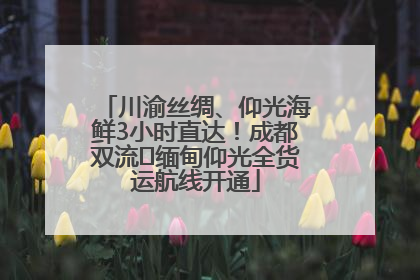 川渝丝绸、仰光海鲜3小时直达！成都双流⇌缅甸仰光全货运航线开通