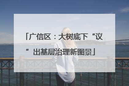 广信区：大树底下“议”出基层治理新图景