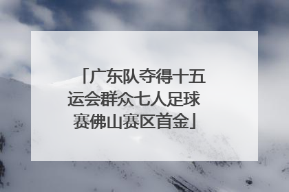 广东队夺得十五运会群众七人足球赛佛山赛区首金
