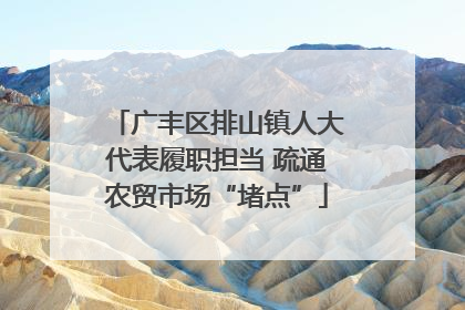 广丰区排山镇人大代表履职担当 疏通农贸市场“堵点”