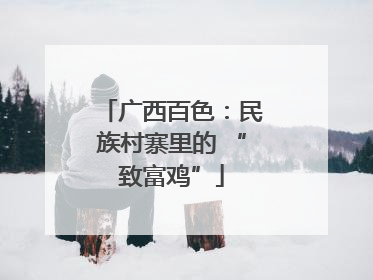 广西百色：民族村寨里的 “致富鸡”