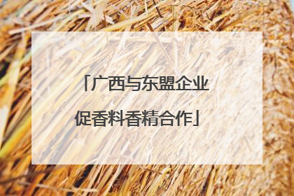 广西与东盟企业促香料香精合作