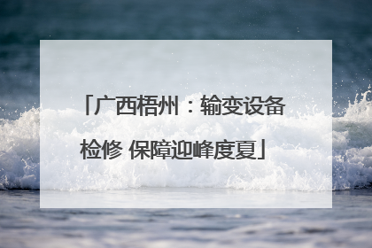 广西梧州：输变设备检修 保障迎峰度夏