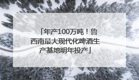 年产100万吨！鲁西南最大现代化啤酒生产基地明年投产