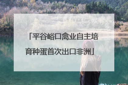 平谷峪口禽业自主培育种蛋首次出口非洲