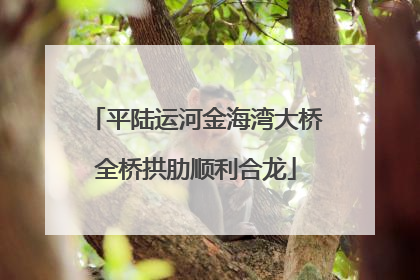平陆运河金海湾大桥全桥拱肋顺利合龙