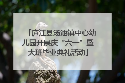 庐江县汤池镇中心幼儿园开展庆“六一”暨大班毕业典礼活动