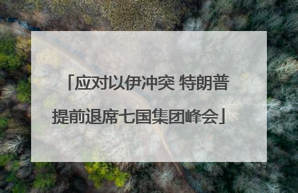 应对以伊冲突 特朗普提前退席七国集团峰会