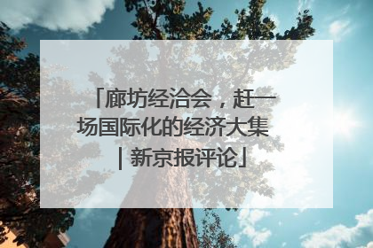 廊坊经洽会，赶一场国际化的经济大集｜新京报评论