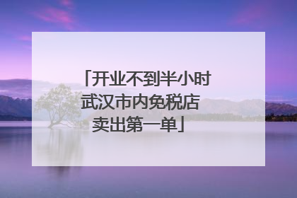 开业不到半小时 武汉市内免税店卖出第一单