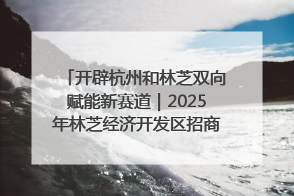 开辟杭州和林芝双向赋能新赛道｜2025年林芝经济开发区招商引资（杭州）推介展销活动在杭举办