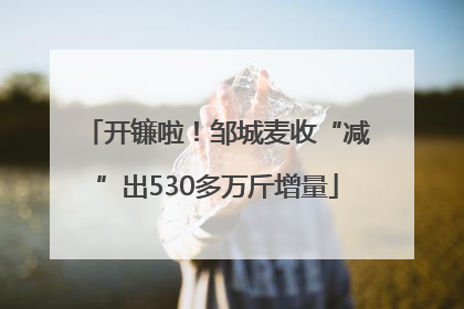 开镰啦！邹城麦收“减”出530多万斤增量