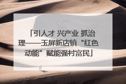 引人才 兴产业 抓治理——玉屏新店镇“红色动能”赋能强村富民