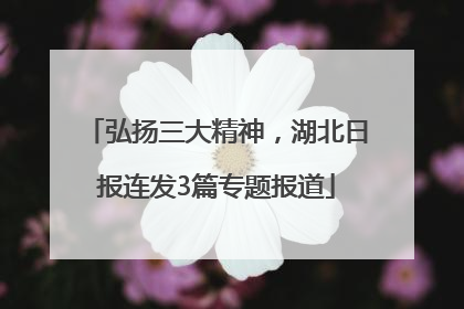 弘扬三大精神，湖北日报连发3篇专题报道