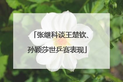 张继科谈王楚钦、孙颖莎世乒赛表现