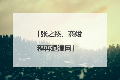 张之臻、商竣程再退温网