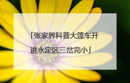 张家界科普大篷车开进永定区三岔完小