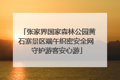 张家界国家森林公园黄石寨景区端午织密安全网 守护游客安心游