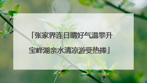 张家界连日晴好气温攀升 宝峰湖亲水清凉游受热捧