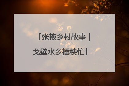 张掖乡村故事｜戈壁水乡插秧忙