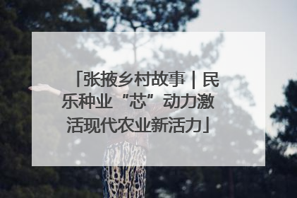 张掖乡村故事｜民乐种业“芯”动力激活现代农业新活力