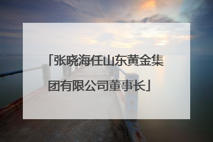 张晓海任山东黄金集团有限公司董事长
