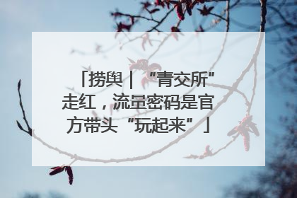 捞舆｜“青交所”走红，流量密码是官方带头“玩起来”