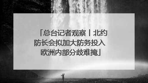 总台记者观察丨北约防长会拟加大防务投入 欧洲内部分歧难掩