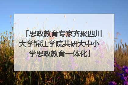 思政教育专家齐聚四川大学锦江学院共研大中小学思政教育一体化