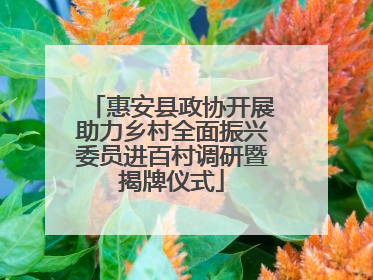 惠安县政协开展助力乡村全面振兴委员进百村调研暨揭牌仪式