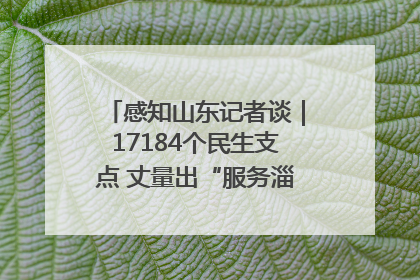 感知山东记者谈｜17184个民生支点 丈量出“服务淄博”的文明温度
