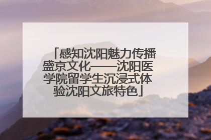 感知沈阳魅力传播盛京文化——沈阳医学院留学生沉浸式体验沈阳文旅特色