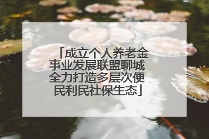 成立个人养老金事业发展联盟聊城全力打造多层次便民利民社保生态