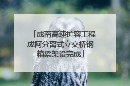 成南高速扩容工程成阿分离式立交桥钢箱梁架设完成
