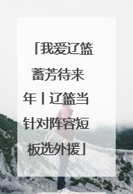 我爱辽篮 蓄芳待来年丨辽篮当针对阵容短板选外援