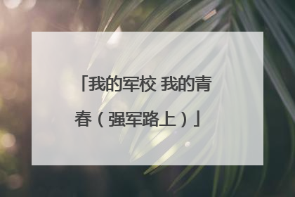我的军校 我的青春（强军路上）