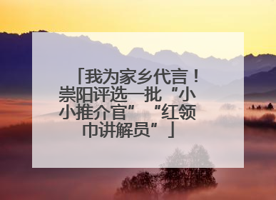 我为家乡代言！崇阳评选一批“小小推介官”“红领巾讲解员”